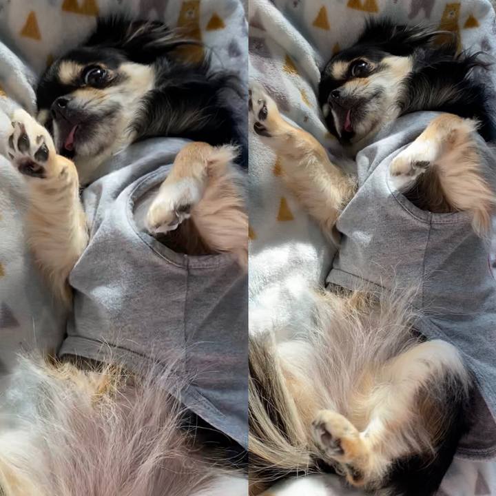 650381ec 81b7 4e17 a82c 878c0bfd3b7f 1643093828383