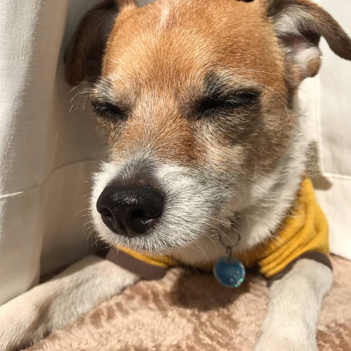 6503c3a5 70d5 44c6 bb4a 6e9a3efdfc59 1547614000031