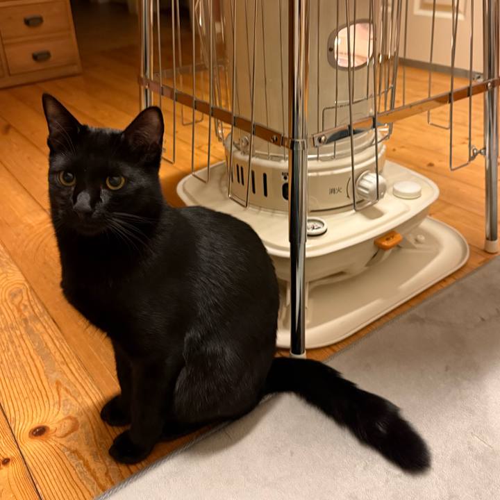 6503c87c 96aa 49aa 89e6 e6b2f516939d 1764754996706