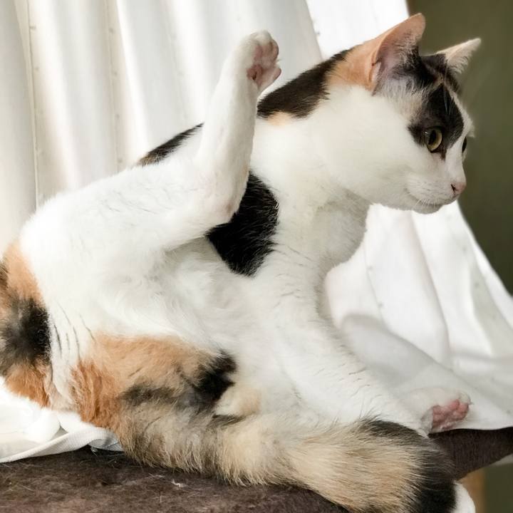 6503da8d d3af 4300 824b e7dcc122d6ff 1528124102147