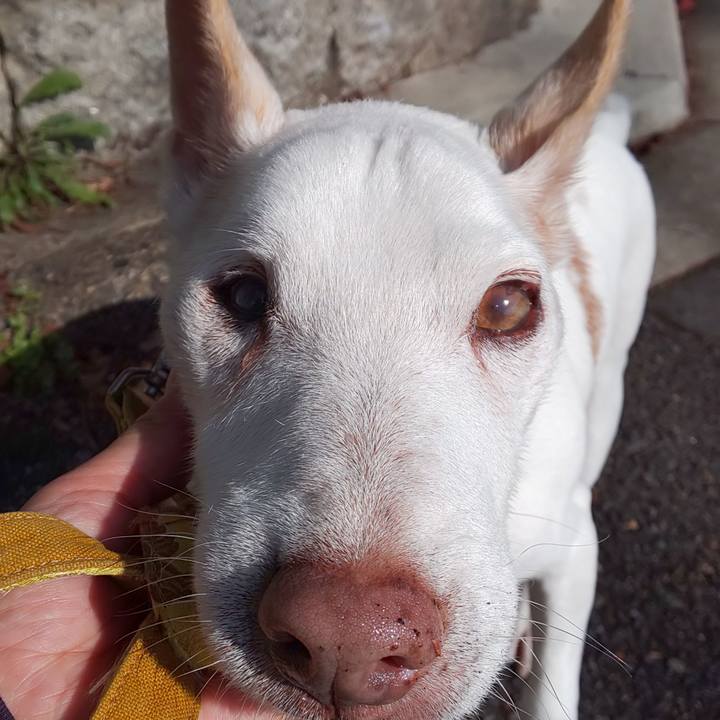 65043920 3925 4030 9a80 6fdf6dc7b85d 1540778071533