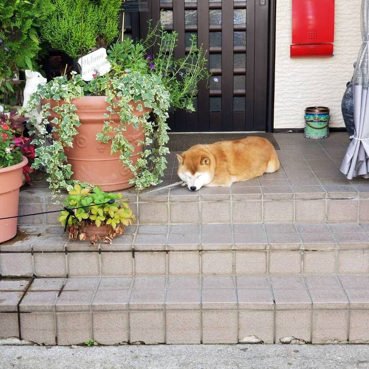 65049648 9a2b 4885 983c 69ac86d73503 1569283129222