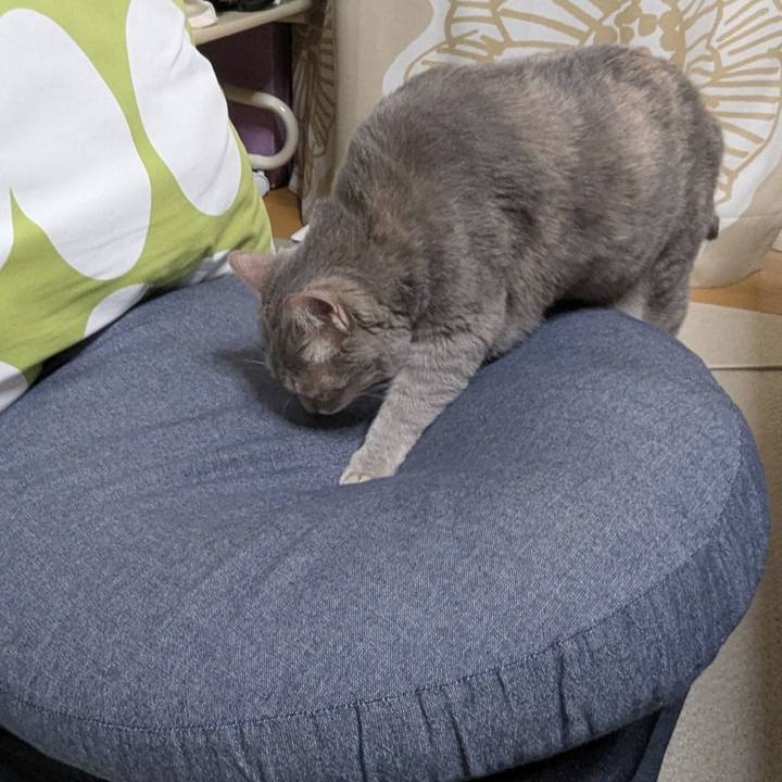 6504984e 6185 46e1 9308 22ae9ffe4b87 1751190149765