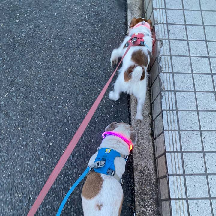 6504c6c6 65e3 413c a664 4ba58e8ed86f 1708736692772