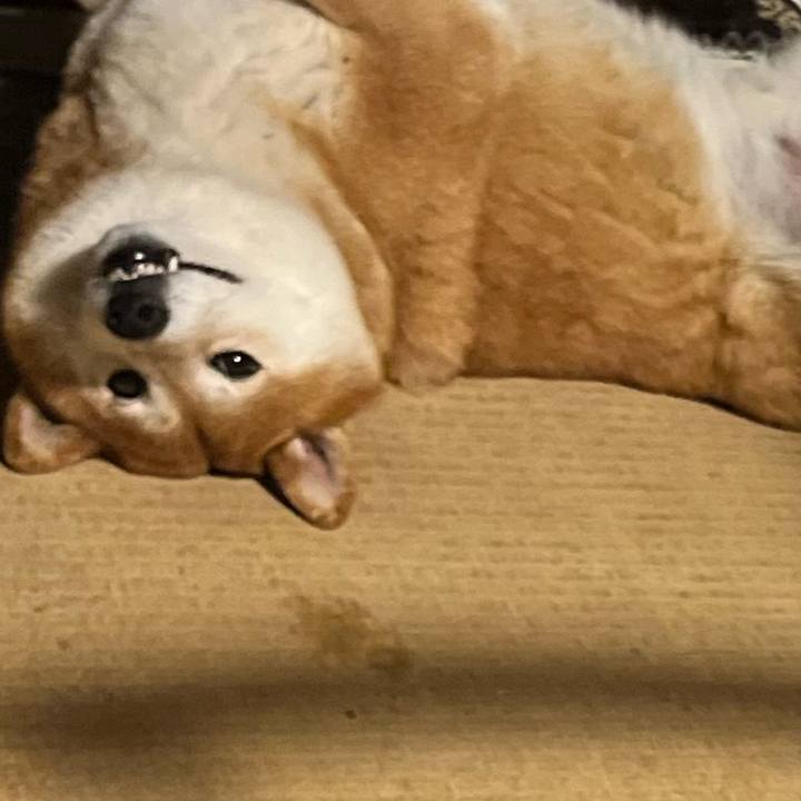 65053cc0 7901 47ef acbc c2e29a657ffa 1655975729367