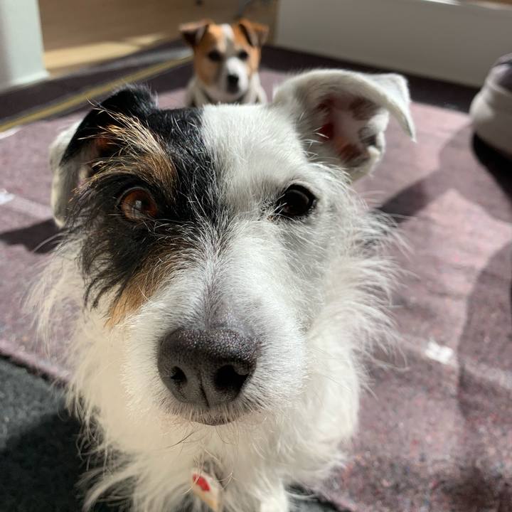 65054039 e799 41a0 8273 9c444df5c937 1613277518251