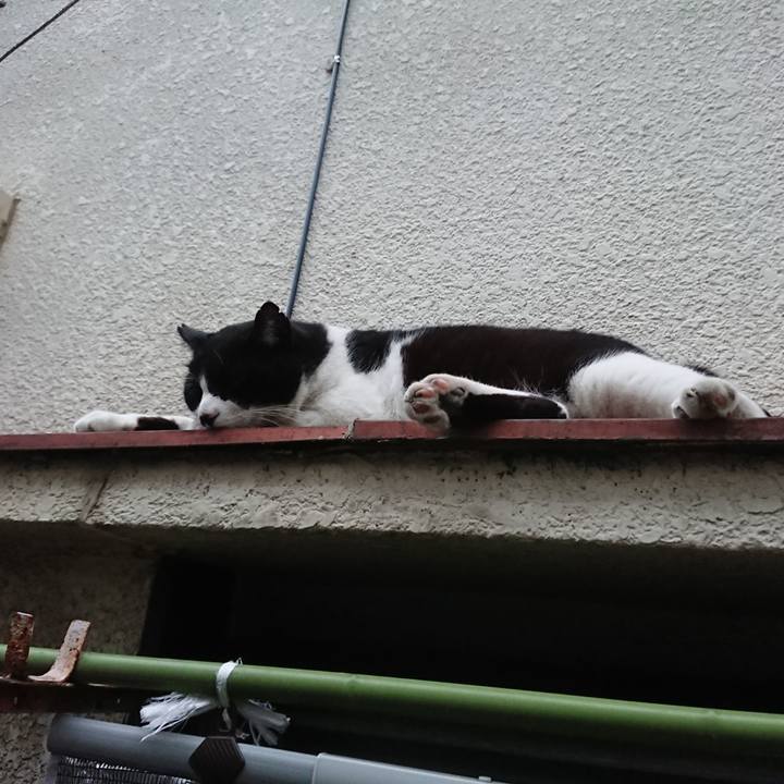 6505494e 44a7 442b a404 92d82b20b25b 1530783995107