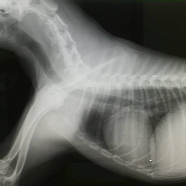 65055d5a ac06 49b2 a7a7 29cccdc26538 1565182531347