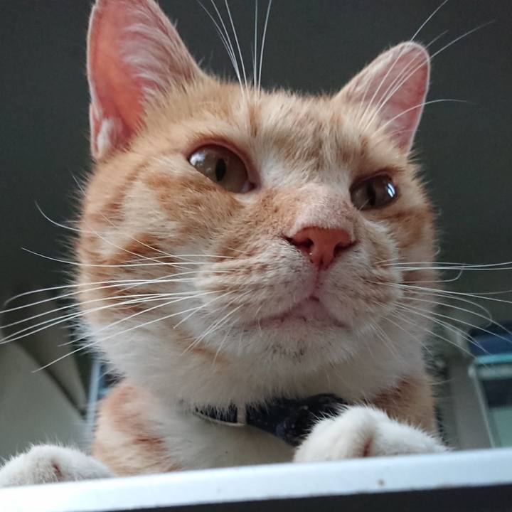 65059b6f 60b7 40a6 a757 d2fc49da0684 1566034822354