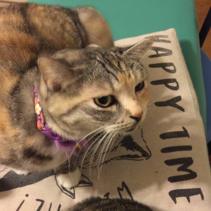 65059c63 30e3 494b 985d 1eb10fce0acb 1547738543066