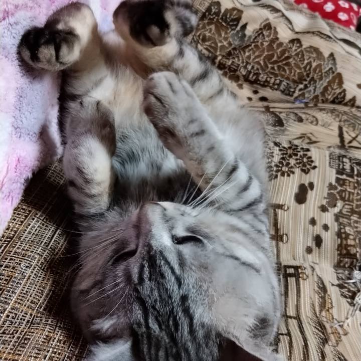 6505aa23 c618 4ad4 9ec2 9a3a1d0e0666 1598108598383