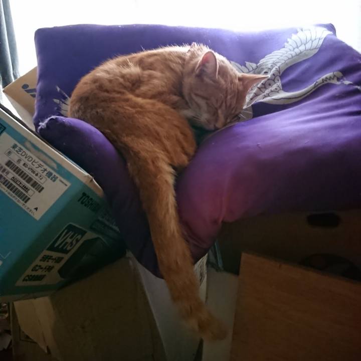 6505ab4c bc6d 4369 88f4 398ef7d4f9e5 1598745477190