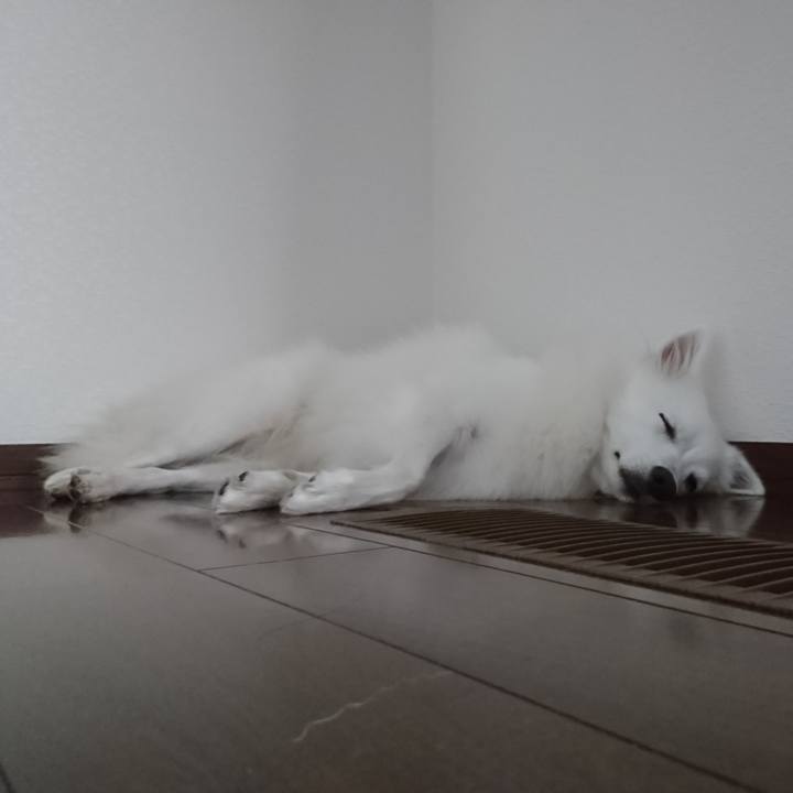 6505fe7c 2ee7 4cc0 8211 68cbd3a269ff 1538541831697