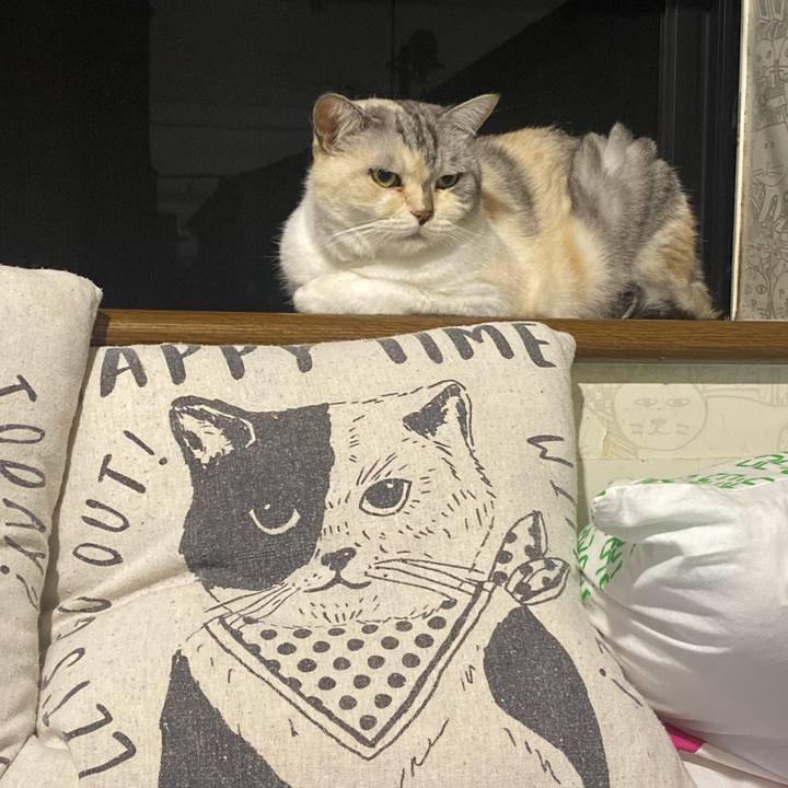 650607f8 2e35 4434 9e7c 21e4f0324526 1659711133488