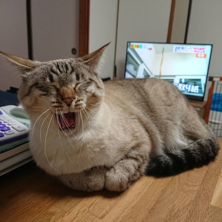 65061e2e c3e4 455a 961a f0a1dbb2d0b2 1520241324754