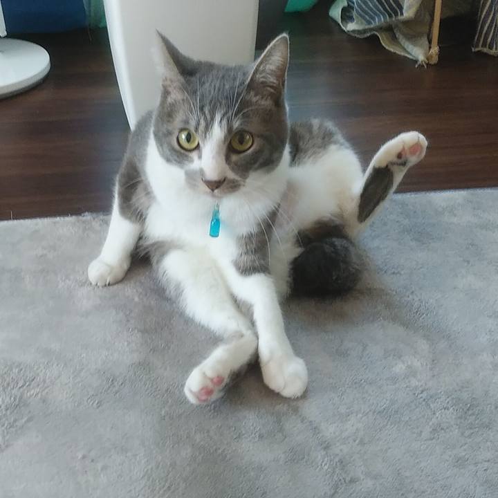 65062698 7ce1 4e47 9c7b 6337560afbf7 1587769308283