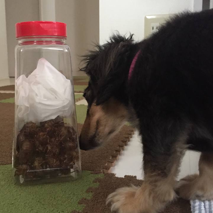 65062999 06bb 458b 8f4b dd4e0dc60f56 1534296635709