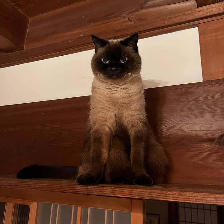 650694d3 a0b3 40a7 bf7e 445ec2dc9a56 1676461908662