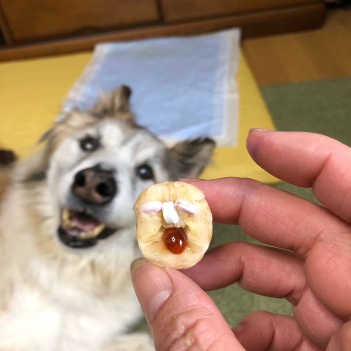 650698cd 42e5 4cad bfbe 23d59da0d1ab 1556331330357