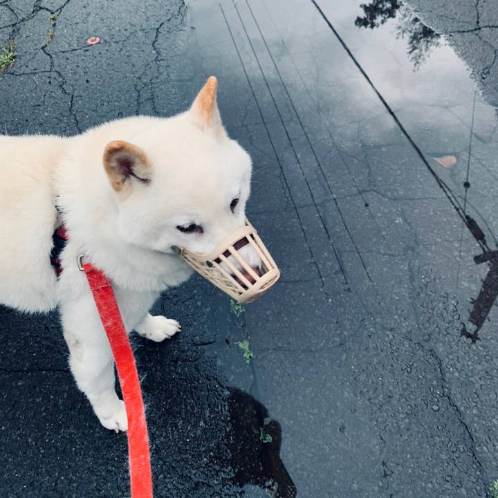 65069f6e fa0c 42b5 856d 3f793df4fa24 1600034200958