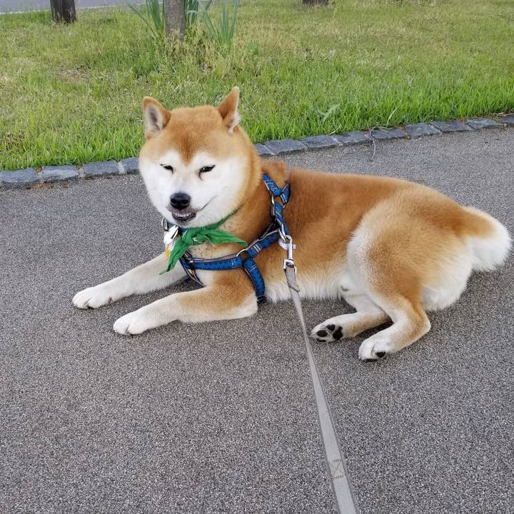 6506ac81 9d10 4e66 88e4 4917924ed99b 1557562861079