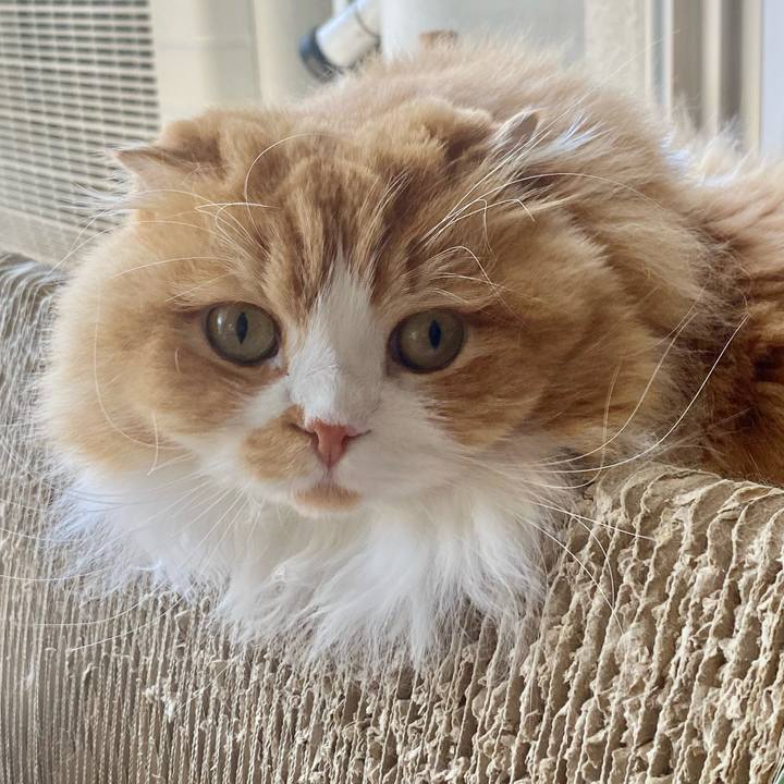 6506b647 1b3b 4b2a b89b ad3db54327ae 1680585015199