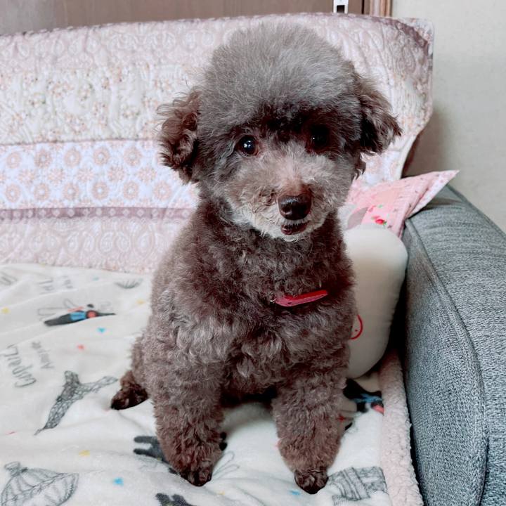 650705aa 24ac 405a 891e 70ad9da4404e 1712812736775