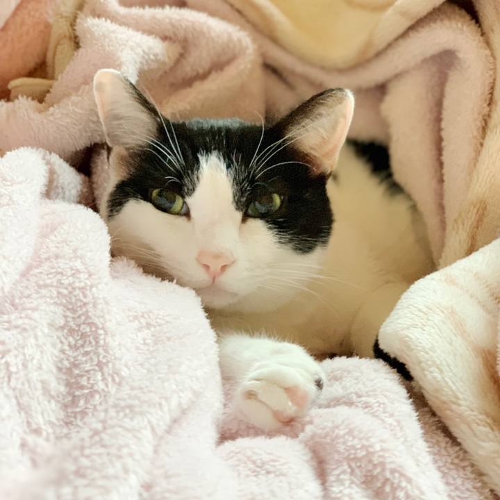 65070bff 5ac1 4f24 9177 e27c007e132f 1548727736058