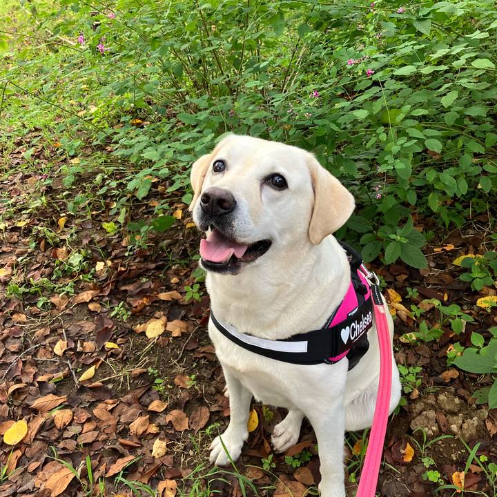 65072786 7356 4b1e 84f2 2c140bcc4a80 1662599089498