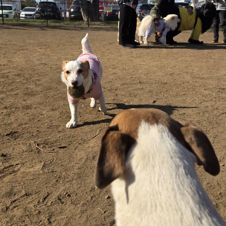 65073bb4 4e7f 4ae0 8ea0 0b8f5d6ddac1 1768712889757