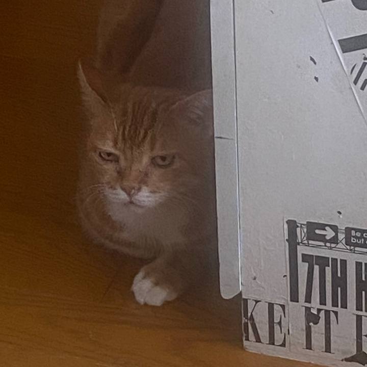 65076028 c2c6 46cc 8834 f20498a4ff8b 1694995795541