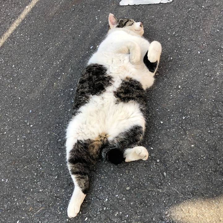 6507616b ce96 4b95 a669 709b4599ec2c 1581572554063