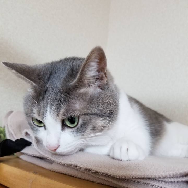 65077d0b 318c 4821 b586 a9b256d8400d 1575900151551