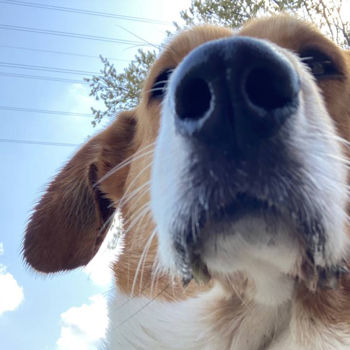 6507a2d0 c0ea 4d06 bc32 6979eb9c6aaa 1744416956284