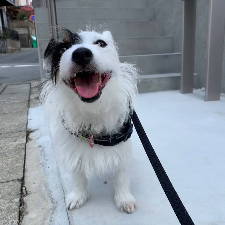 6507f3b9 b0b6 464f 92d2 96568715dbdd 1599782940725