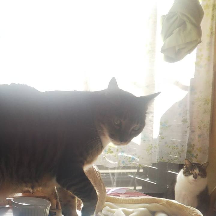 6507f819 6c7c 4ccc b3e2 f87a604b0f68 1608178628516