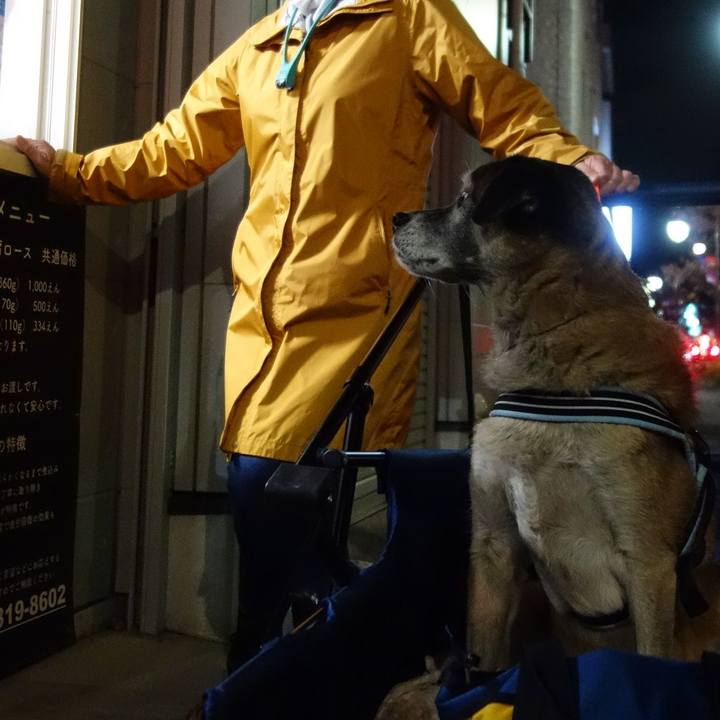 6507fce9 3d56 4a86 9b5a 546b96adcddc 1573726184467