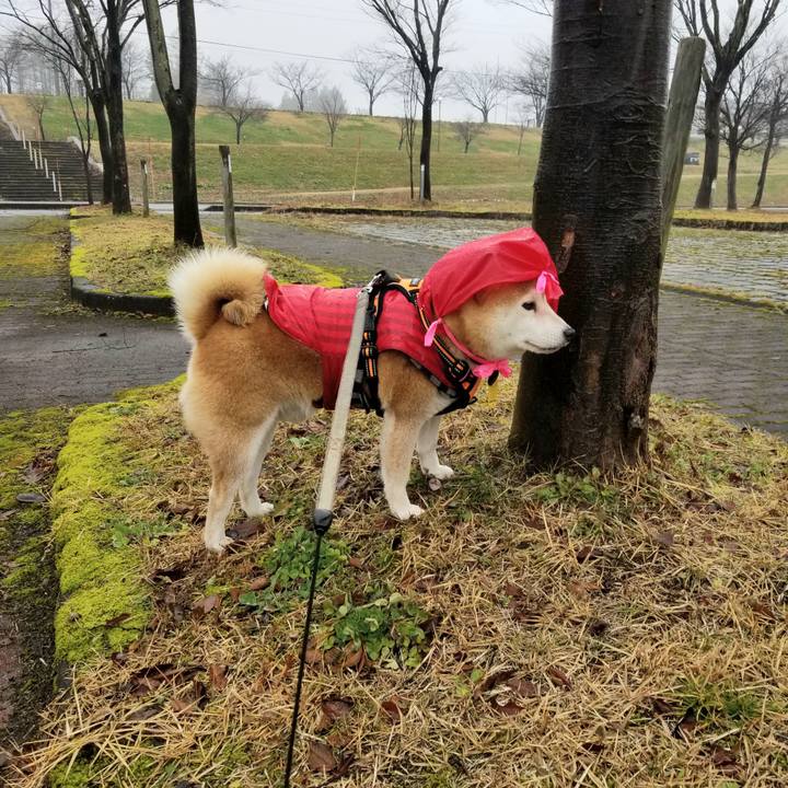 65082532 606b 441c 81f0 7aa7eb5a3d08 1638852485393