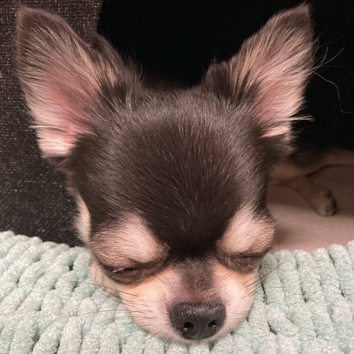 65084b97 89ed 4986 a018 49df2f46cd04 1670161664289