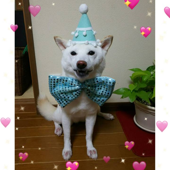 6508673b 02e8 44aa aa1b 4a9047812887 1594049150935