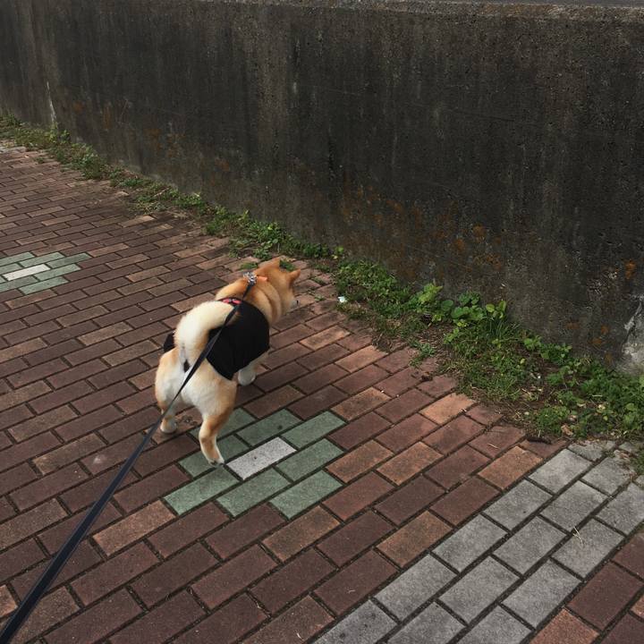 65087594 d1c9 499e 8e52 25d3e4fd0eba 1541564193884