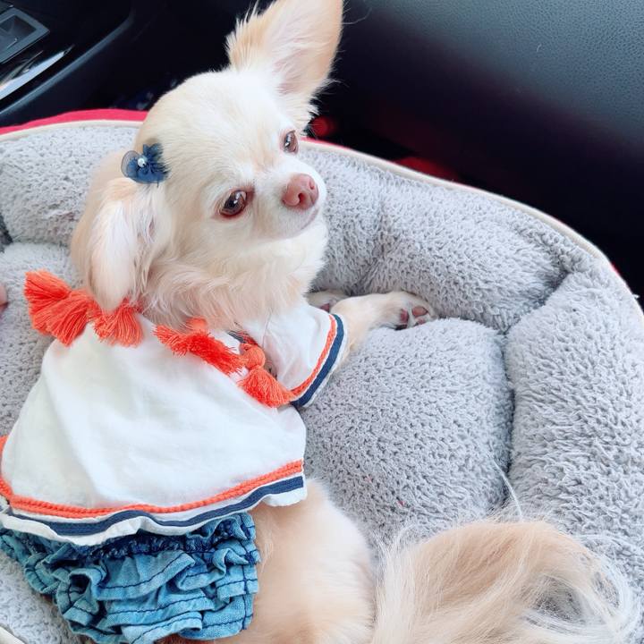 6508837b e362 49bb ad49 c54374b94779 1746427580746