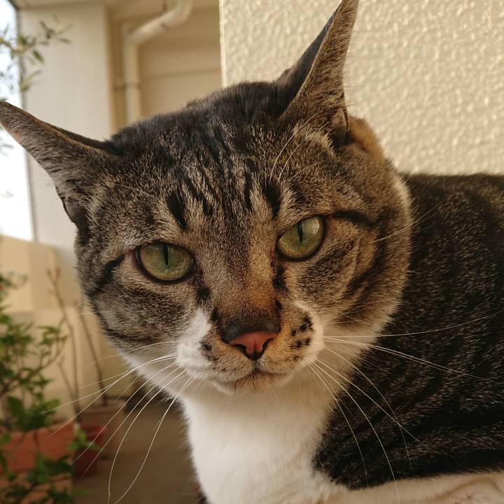 65089295 bafd 46f6 bfef ea6fcab54c81 1521067774589