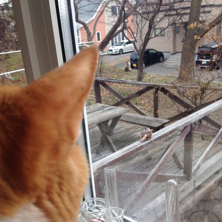 6508e334 645a 40fb bb37 06eace940067 1556835537503