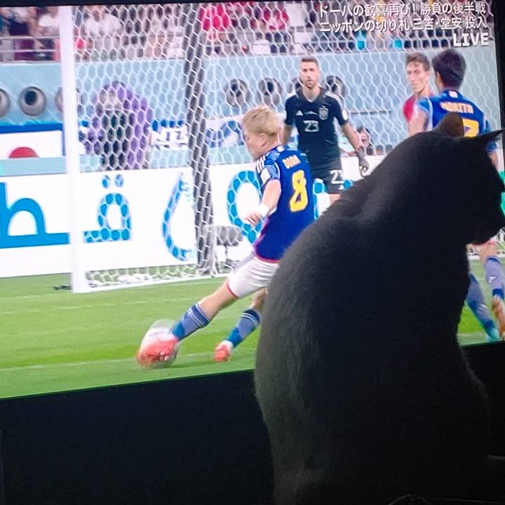 6508e9b1 a568 45f6 affa c004998fe2c2 1669925247902