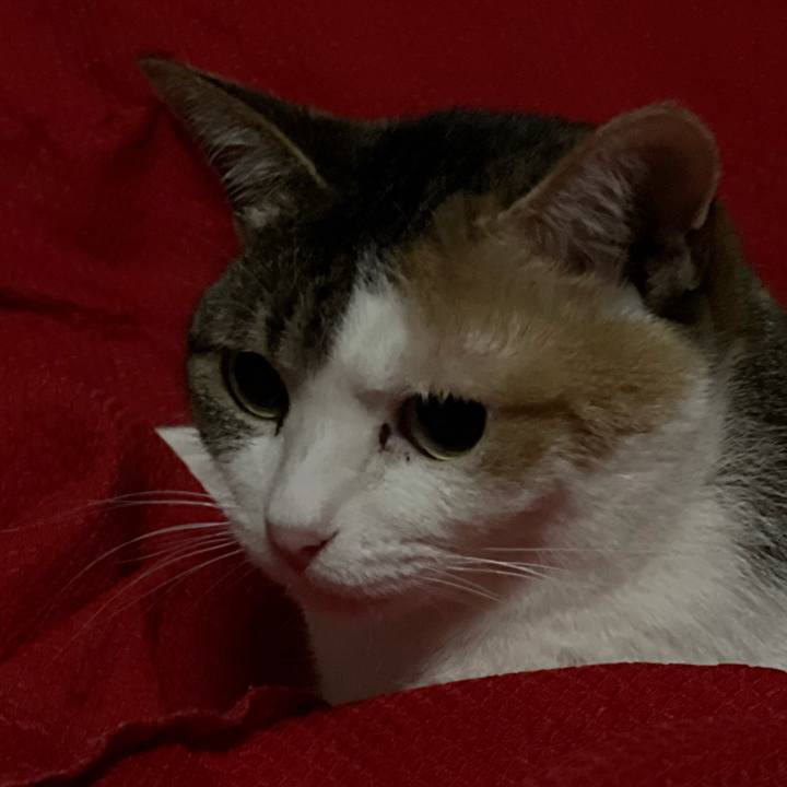 6508f295 4c29 441a b331 adaf25a2b97d 1615634229241