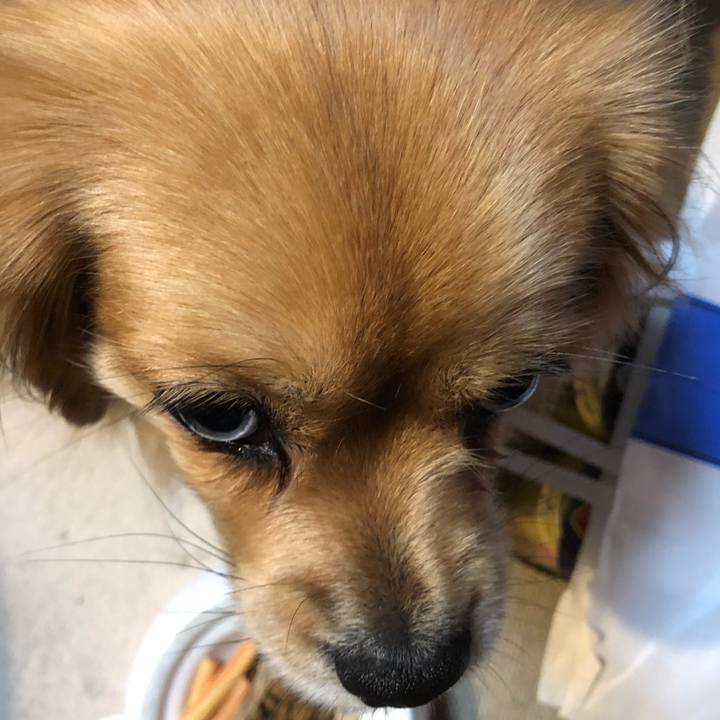 6508f5bd a48c 4f5e abc0 a2a7235f21e9 1552947964049