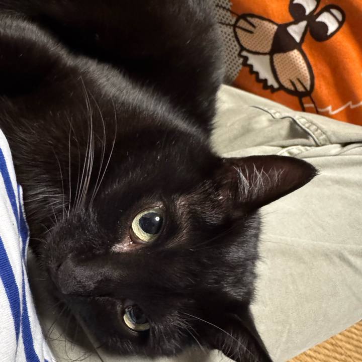 6509b37e a749 4710 8950 cdd59a460ccf 1749208482297