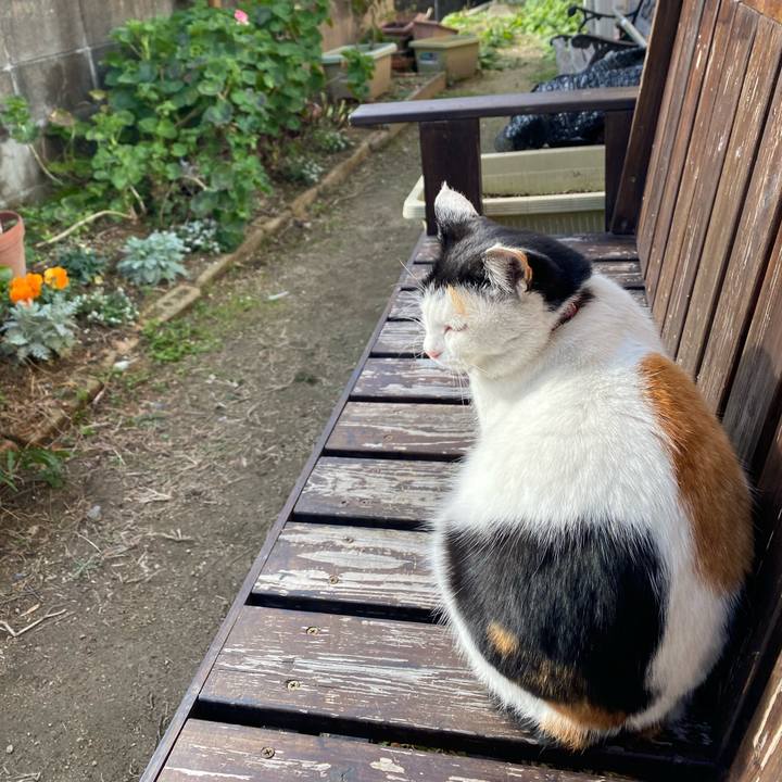 6509b768 4c30 410f a0f9 e6bd943c21a9 1643666274806