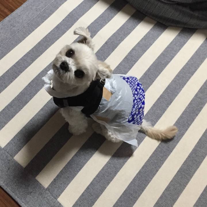 650a02ca 8632 4f04 8a68 946dedc2fd46 1507893066010